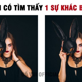 Câu Đố Tìm Điểm Khác Biệt