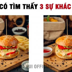 Câu Đố Tìm Điểm Khác Biệt