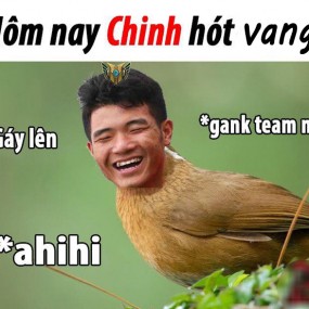 Top ảnh