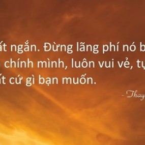 Nguyễn Vũ An Nhiên - 2019-12-22 17:37:35