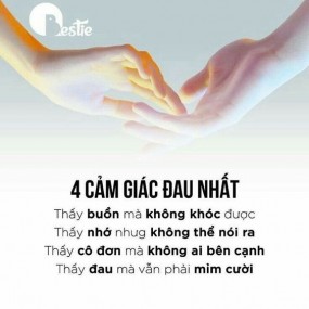 Đọc hết đi nha