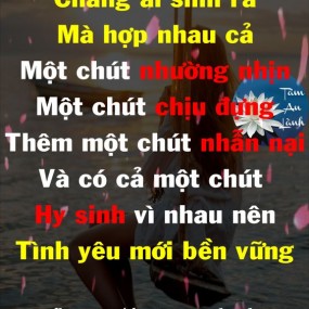 Đọc hết đi nha