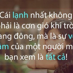 Đọc hết đi nha