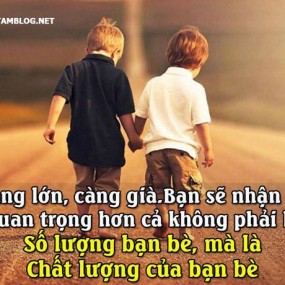 Đọc hết đi nha