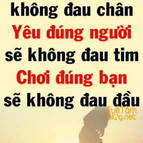 Đọc hết đi nha