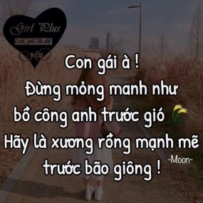 Đọc hết đi nha