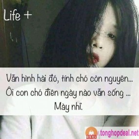 Đọc hết đi nha