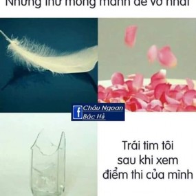 Tôi của hiện tại