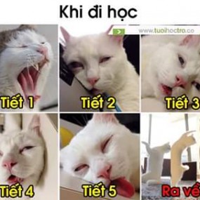 Khi đi học :))