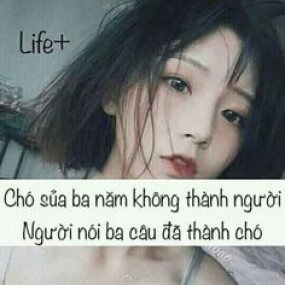 stt chất