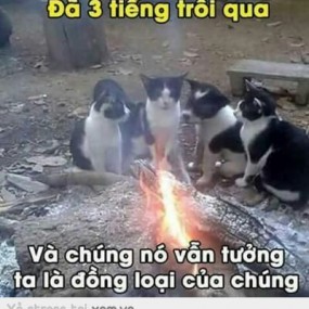 Ma Cà Rồng [ Hy ] - 2020-03-16 07:51:14