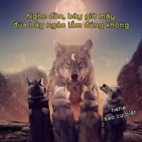 Nghe đồn ngáo là đúng rồi