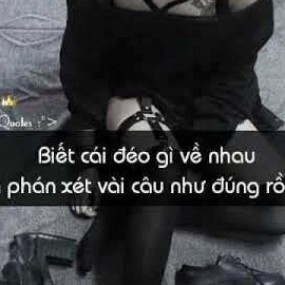 STT chửi khéo bạn bè