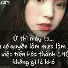 STT chửi khéo bạn bè