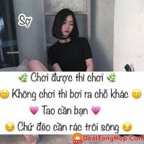 STT chửi khéo bạn bè