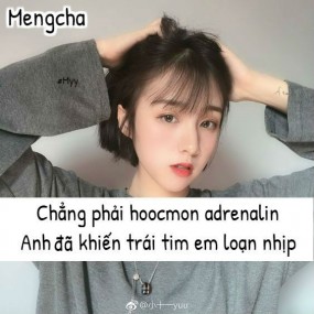 có ai làm người yêu của Vy koo