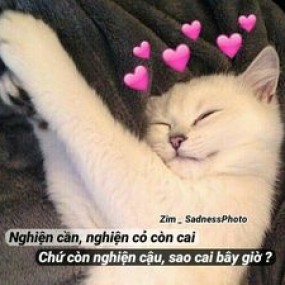 có ai làm crush của Vy ko????????