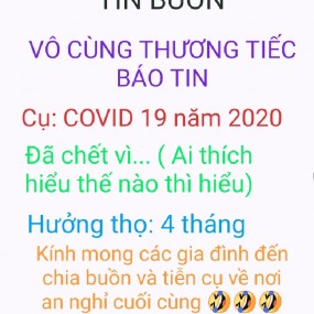 TIN BUỒN HOT NHẤT VN