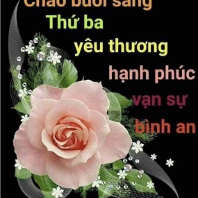 buổi sáng tốt lành