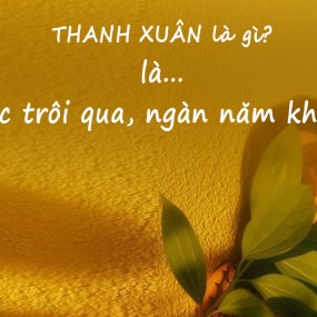 thanh xuân