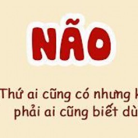 Cũng đúng đấy nhỉ ?