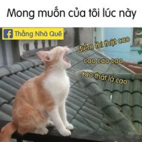 Ước mơ của t lúc này