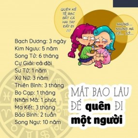 Các cậu cung gì