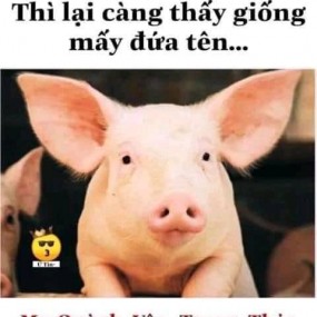 Các bạn nữ có số hưởng có nét xinh dẹp như cô nàng này nhé =)))