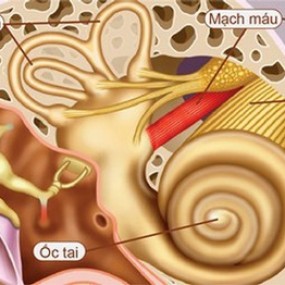 Cách chữa rối loạn tiền đình bằng diện chẩn