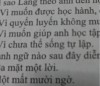 Vì sao Lan theo anh đến học nhà đạo sĩ họ lưu sau khi cha mẹ mất