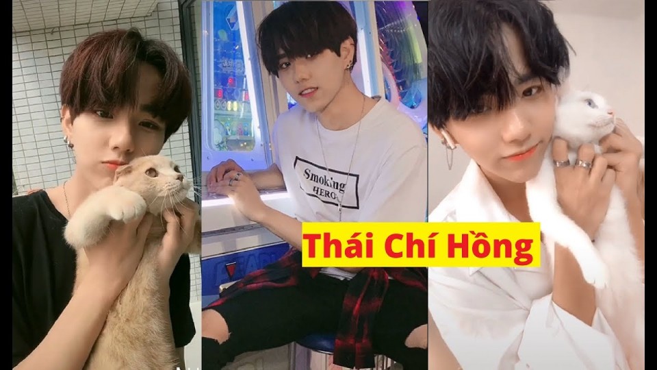 Bạn có phải fan Thái Chí Hồng?