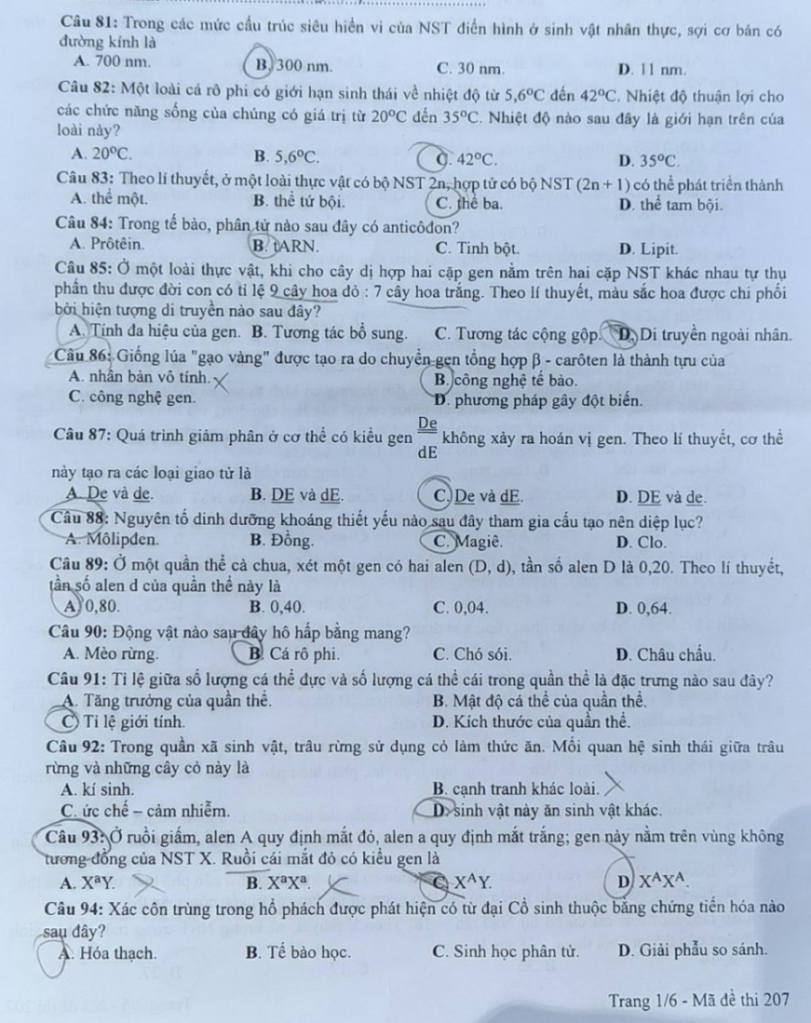Đề thi môn Sinh Học mã đề 207 - Tốt nghiệp THPT 2024,Đề thi môn Sinh Học Tốt nghiệp THPT 2024