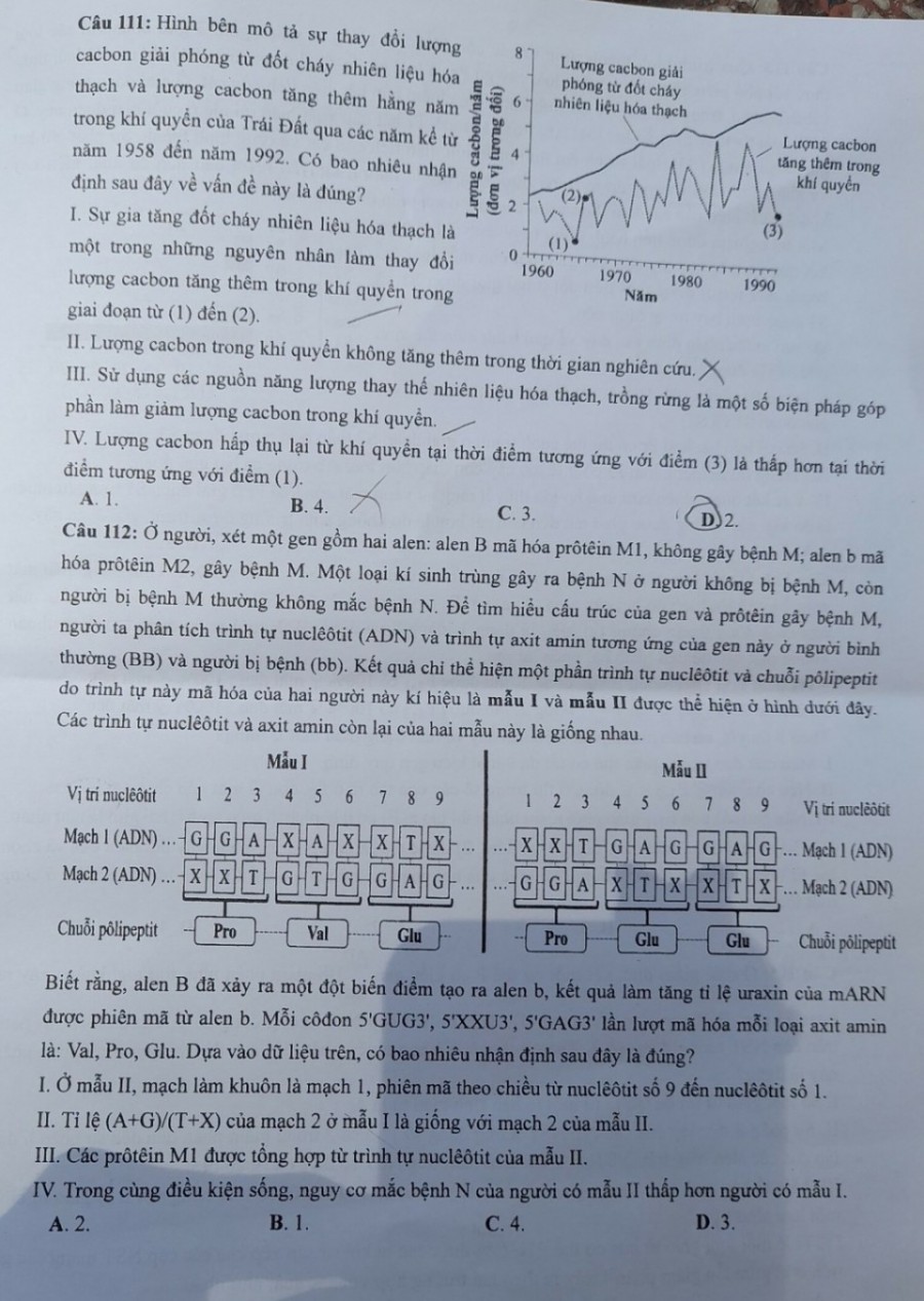 Đề thi môn Sinh Học mã đề 207 - Tốt nghiệp THPT 2024,Đề thi môn Sinh Học Tốt nghiệp THPT 2024