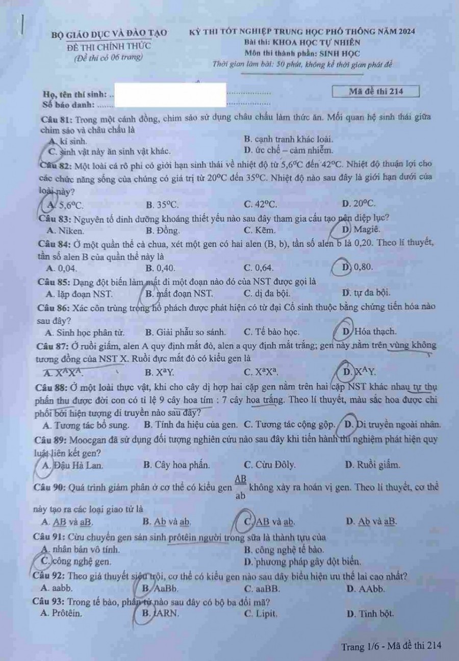 Đề thi môn Sinh Học mã đề 214 - Tốt nghiệp THPT 2024,Đề thi môn Sinh Học Tốt nghiệp THPT 2024