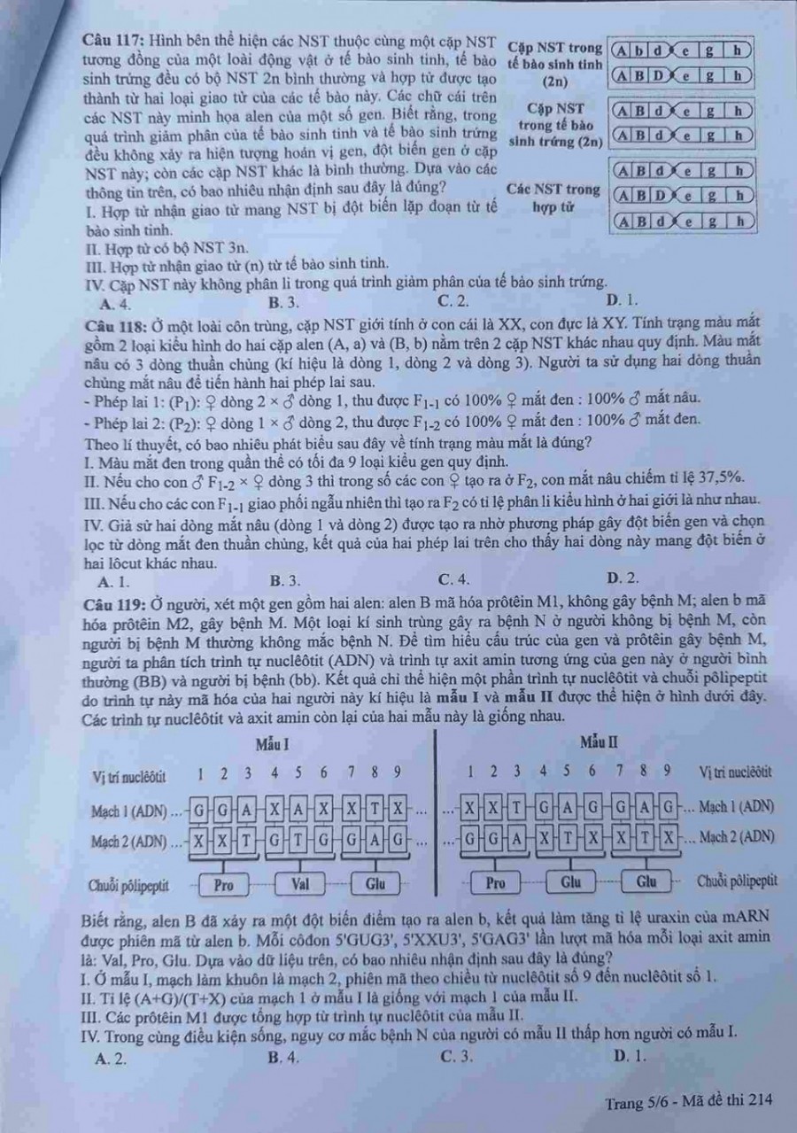 Đề thi môn Sinh Học mã đề 214 - Tốt nghiệp THPT 2024,Đề thi môn Sinh Học Tốt nghiệp THPT 2024