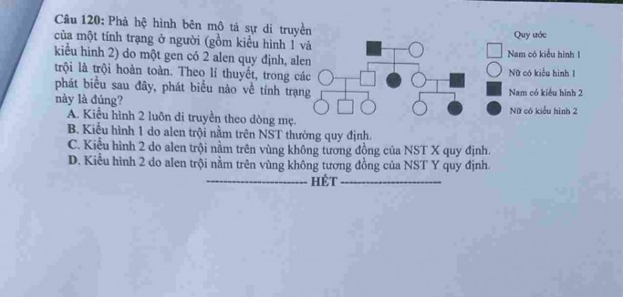 Đề thi môn Sinh Học mã đề 214 - Tốt nghiệp THPT 2024,Đề thi môn Sinh Học Tốt nghiệp THPT 2024